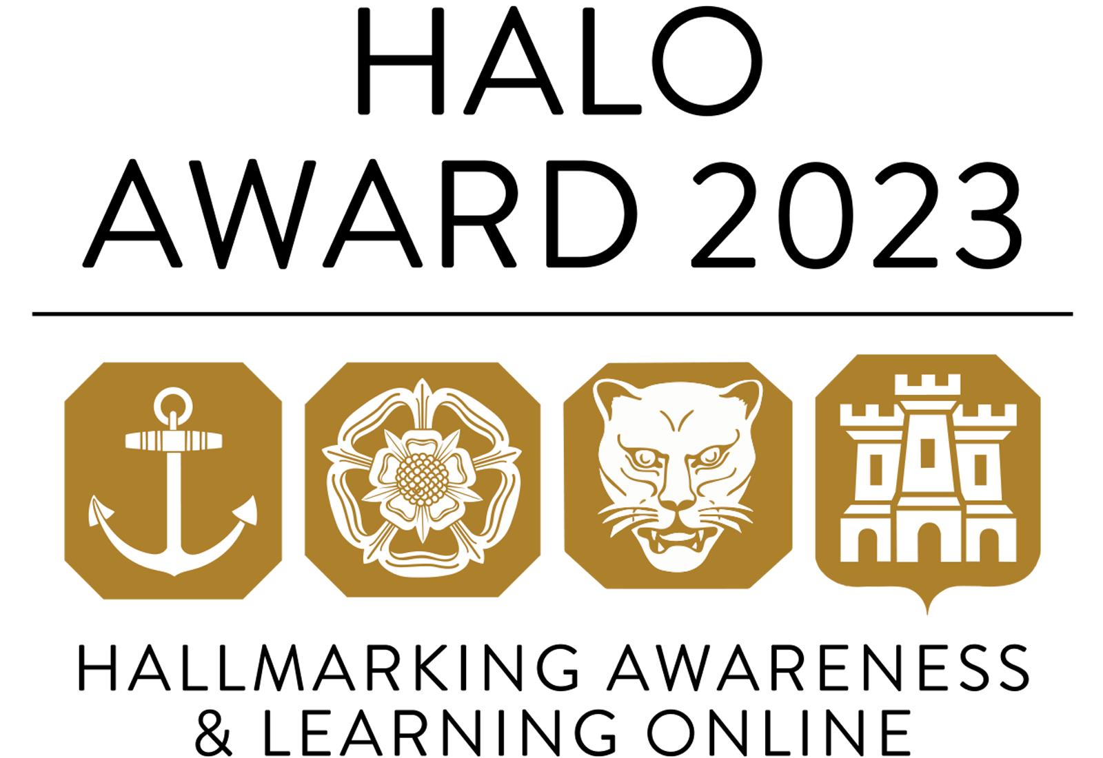 HALO AWARDS 2023 What makes a successful application?