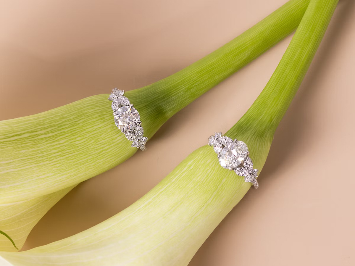 VRAI coins first lab-grown diamonds backed by Bitcoin