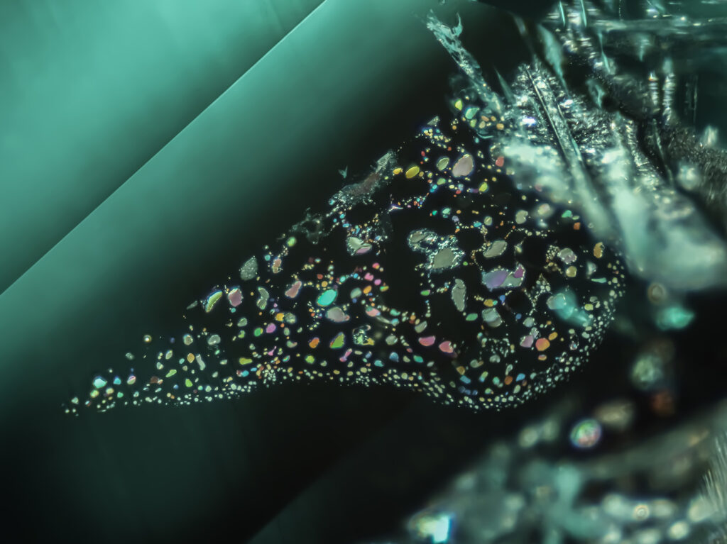 Gem-A welcomes entries to photography competition